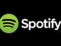 Spotify PIN €10 Standard NL